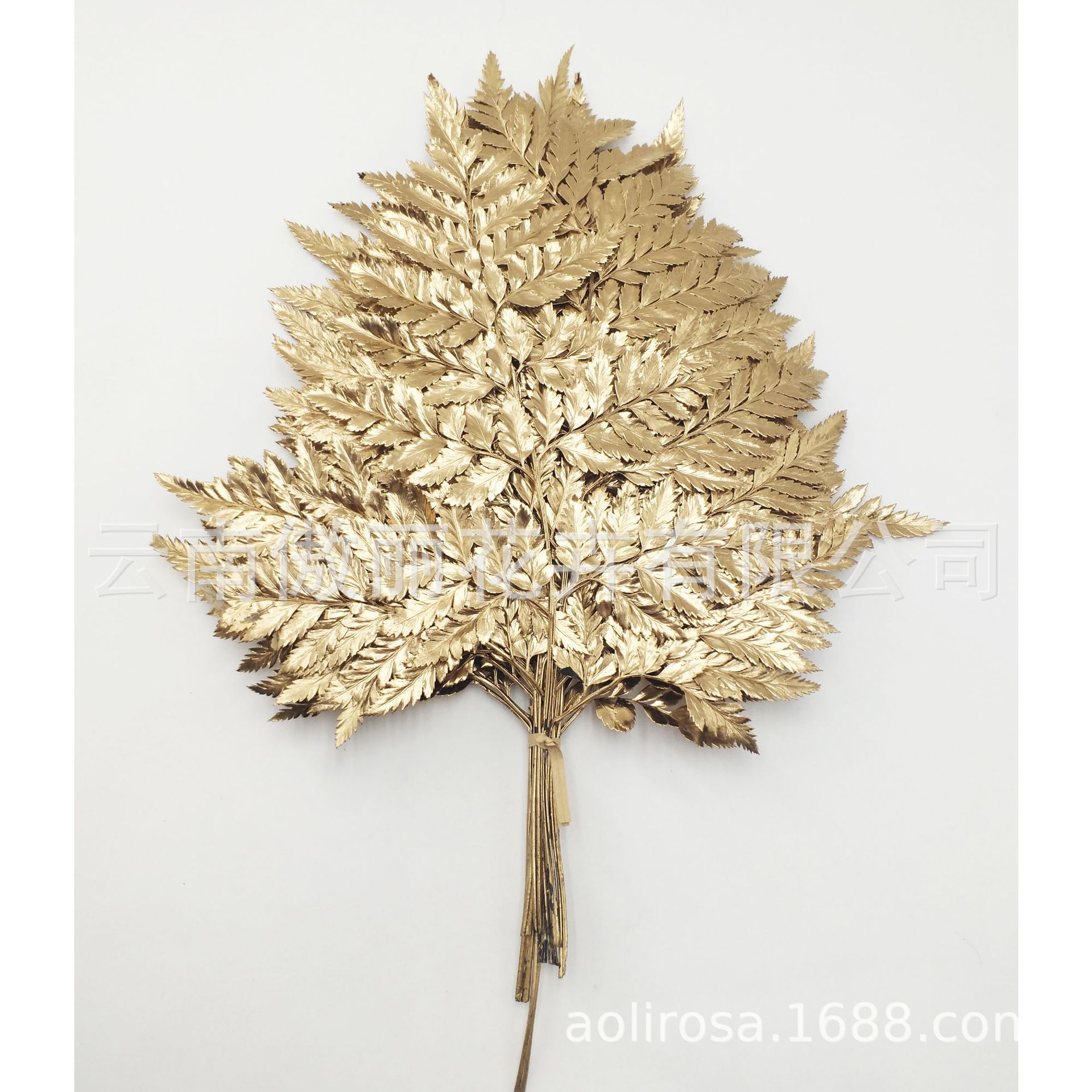 Yongsheng flor/Alpine ovejas diente hoja de helecho/hoja de helecho dorado material con hojas exportación calidad fábrica al por mayor