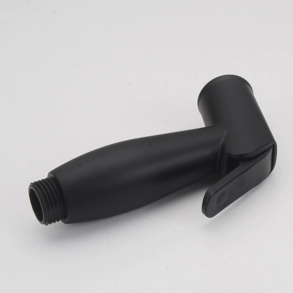 Accessories, black bidet, toilet, set