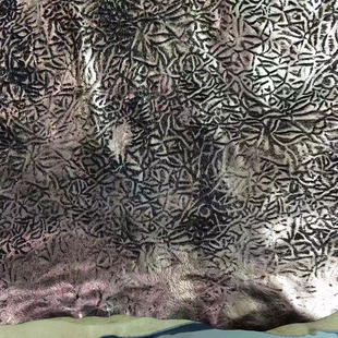 �F؛�������l����ţëţƤ�C�𱪼yƤëһ�w�RëƤ���ɫ����