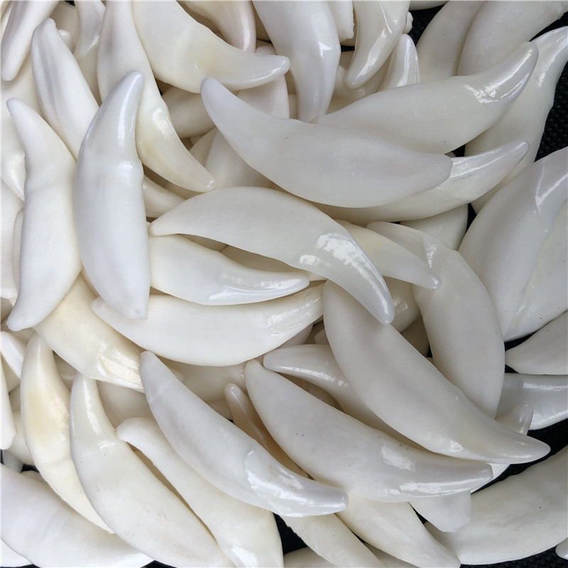 진짜 개 치아 보석 늑대 치아 모양의 펜던트 원래 색상 검은 개 치아 표백 숨겨진 치아 도매 목걸이 팔찌 거리 매점 상품