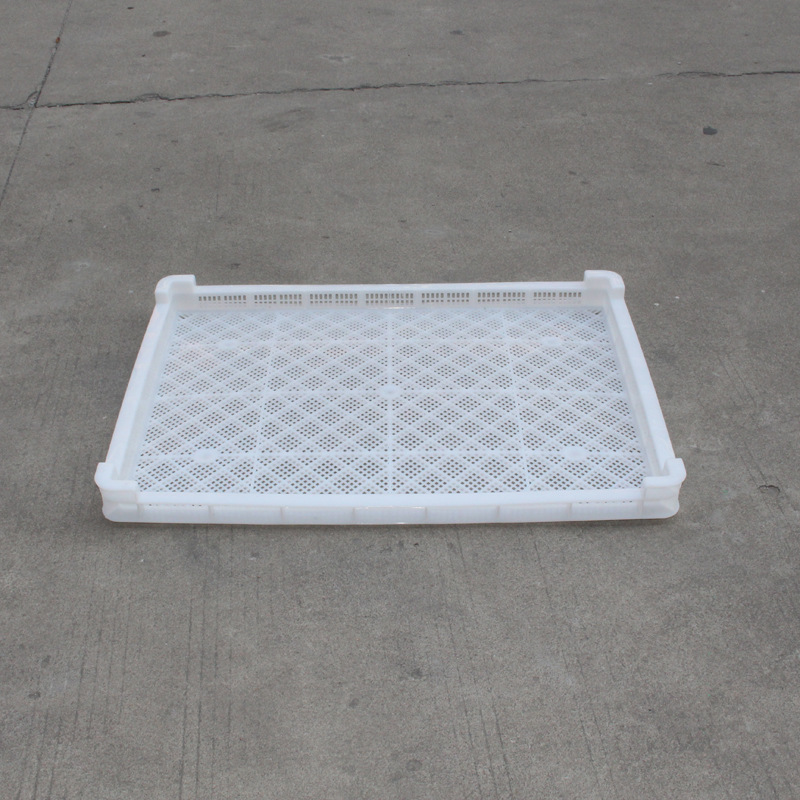 珠海东莞 塑胶烘干盘 加厚全新塑料冻库单冻器 浆果脱水烘焙盘