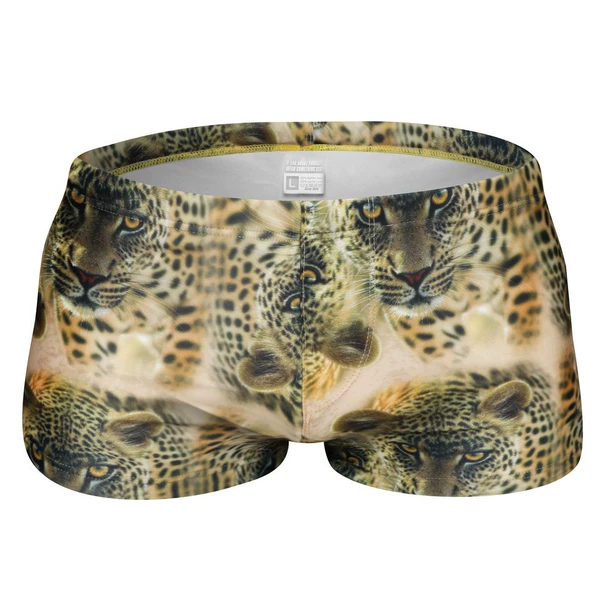 04 Cheetah Leopard