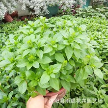 ɢb߲_շN ŌӴ~_m 𲻓Ql