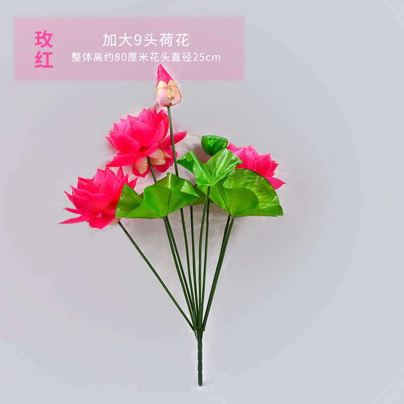 9개의 머리가 있는 연꽃 장미 빨간색 확대
