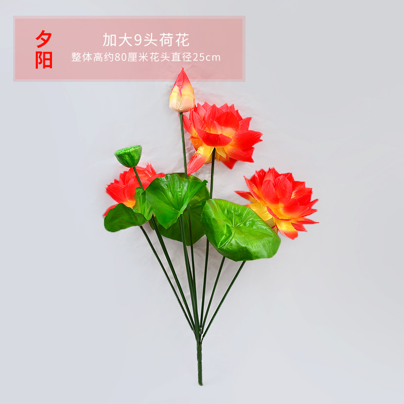 9등신 연꽃 일몰 확대