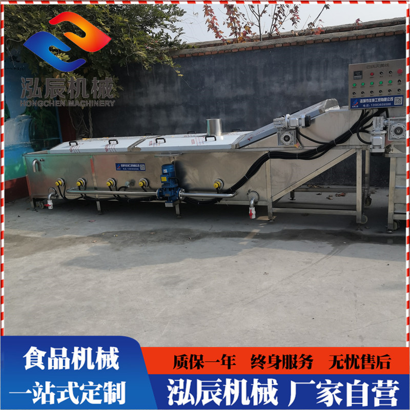 供应玉米蒸煮机 连续式漂烫生产流水线 果蔬杀青蒸煮漂烫设备