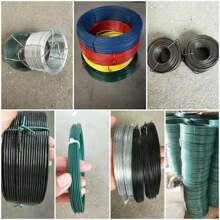 ������F�z���S�ҹ����˻����F�z�ԄӴ���C���F�z12̖���F�z