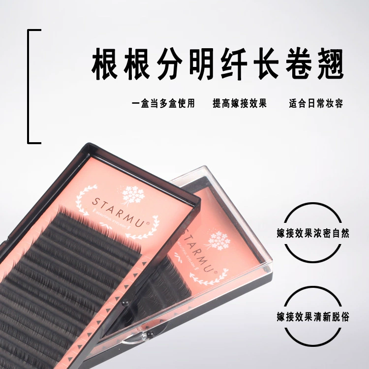 False Lash Extensions (STARMU) Single-Root Practice Trays, 8–12 mm, Natural curl