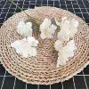 6 -headed snow peony white