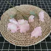 6 Piao Xue Peony Light Pink