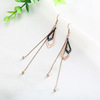 Trend fashionable long earrings stainless steel with tassels, Korean style, internet celebrity