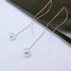 Trend fashionable long earrings stainless steel with tassels, Korean style, internet celebrity