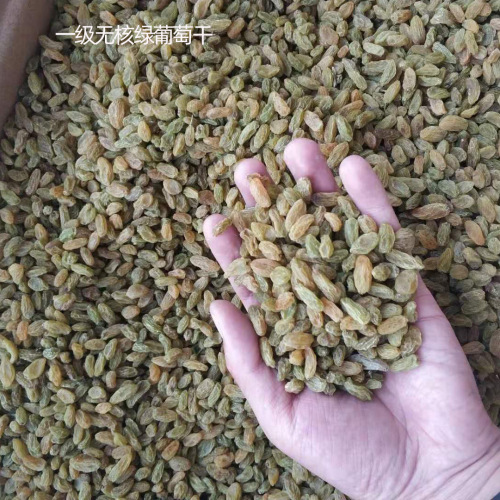 Xinjiang Seedless White and Green Raisins 500g Bag Fruit Turpan Seedless Green Dried Bulk/Bag Can Be Wholesale