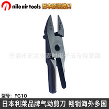 ��Ӽ� �ձ����RNILE��� FG10��Ӽ����^�Ԅӻ��Cе�ּ����m��