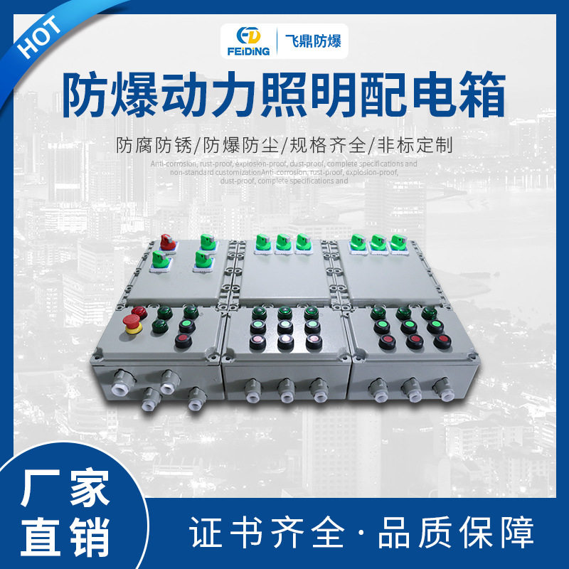 飞鼎防爆照明动力配电箱防爆动力照明配电箱照明动力配电柜