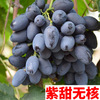 Sunshine rose vine sapphire southern south planted climbing vines Jifeng Grape Miao Special Boat of the year