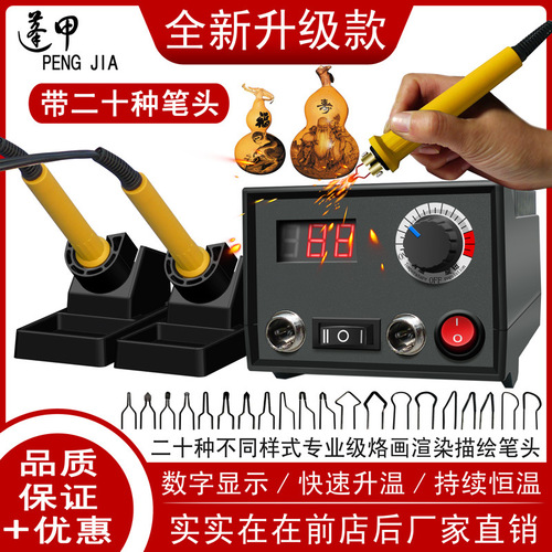 Pengjia Professional Temperature-Controlled Pyrography Machine, Pyrography Tool Kit, Gourd Wood Board, Heat Transfer Painting and Carving Machine, Electric Soldering Iron, Paintbrush