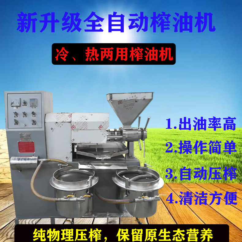 多功能菜籽榨油机 商用大型菜油榨油机 菜籽油榨油机