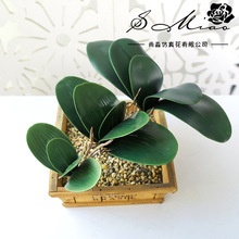 �ٻ�EVA�ָк�����Ҷ��DIY��Ʒ�廨�������ֲ��������ֲ����װ��