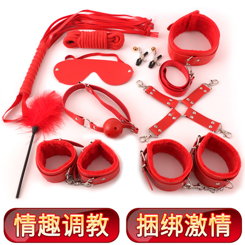 Sex toys SM ten-piece set nipple clamp mouth plug binding training torture device alternative couple adult sex toys 10