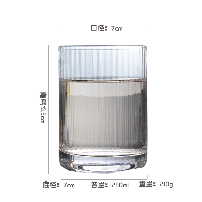 투명 수직 패턴 짧은 직선