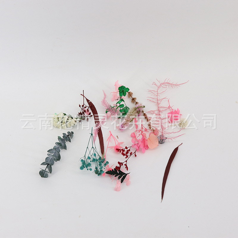 맞춤형 특별 촬영 (무차별 촬영하지 마십시오)