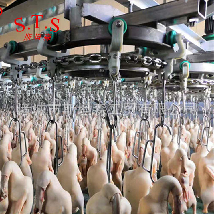 H鸡鸭鹅集中屠宰用家禽屠宰流水线 中小型家禽屠宰设备价格脱毛机