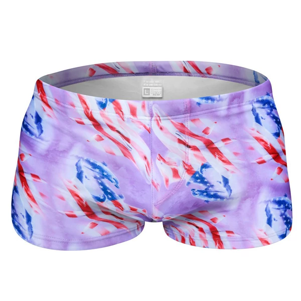 06 Patriotic Dolphin