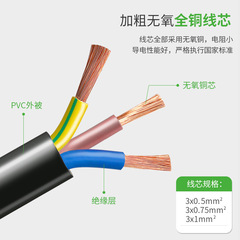 VDE Pure Copper European Standard Power Cord for Rice Cooker, Kettle, Computer - Three-Pin 3-Core French Plug Cord, Euro Standard with Character Suffix