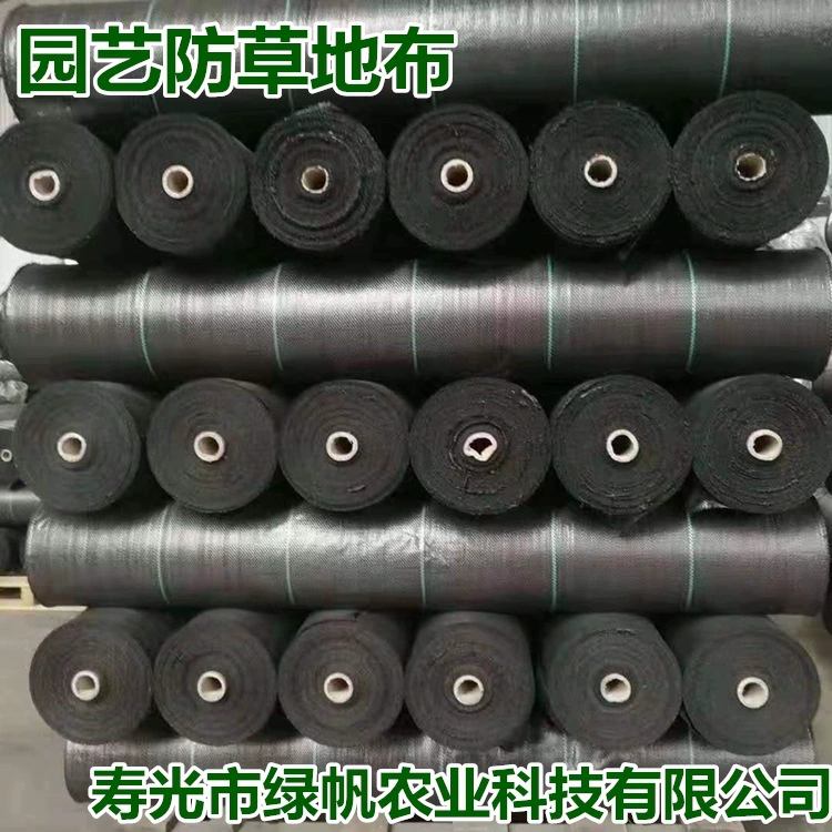 Травяная ткань специализируется на производстве различных спецификаций и моделей, шлифованная ткань, травяная ткань.