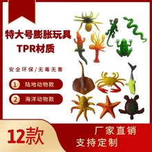 �S���Ԯa���N�ش�̖���� ������TPR��Û�����ˮ�L��������l