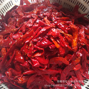 �S�����l ���b�}�n���� �������� ��n���� �ݼt�� ������