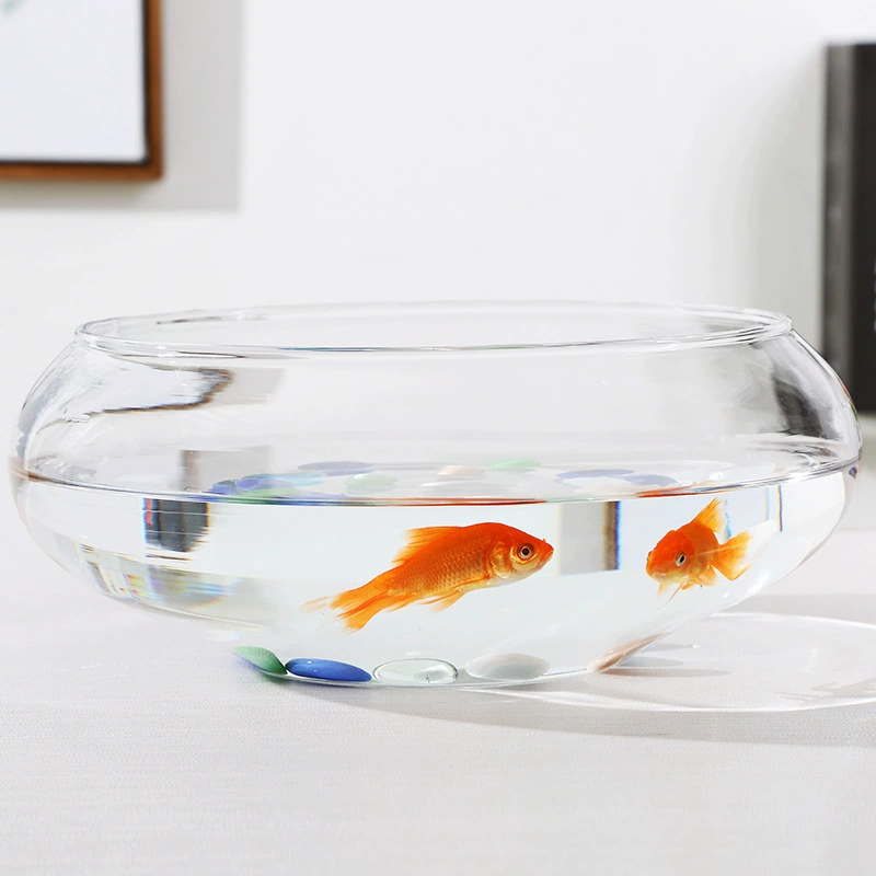 Стеклянная ваза для гидропонных растений бутылка золотой рыбки Круглый Прозрачный цветочный горшок из зеленого стекла Настольный контейнер для водяного барабана