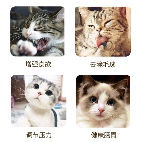 Catnip powder edible hair balls 260ml cat grass fine powder refillable cat toys cat snacks oral cleaning