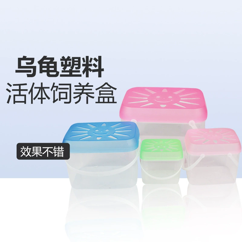 Маленький аквариум для черепахи Мини-коробка для кормления домашних животных Детский портативный небольшой размер Пластиковый детский сад Детский Головастик