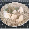 6 -headed snow peony champagne color