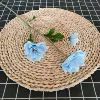 3 Yang daffodil blue