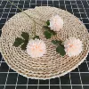 3 header chrysanthemum champagne color