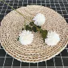 3 header chrysanthemum white