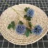 3 header chrysanthemum blue
