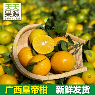 �a��ֱ�l�V�����Q�ʵ۸�10������ؕ���ٳ������r�r��ˮ��һ�����l