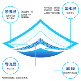 PET мочеиспускания Amazon Dog Diapers, большое количество оптовых одноразовых водных поглощений, дезодорированные собаки сгущенные пассажиры для мочеиспускания