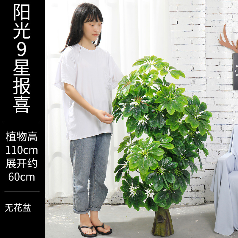 Planta artificial de interior – maceta decorativa con ave del paraíso, árbol viajero y bonsái falso