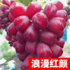 Sunshine rose vine sapphire southern south planted climbing vines Jifeng Grape Miao Special Boat of the year