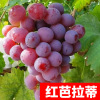 Sunshine rose vine sapphire southern south planted climbing vines Jifeng Grape Miao Special Boat of the year