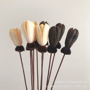 ��ϸɻ�Ư��Ⱦɫ��������ɻ��滨�廨diy�Ĕz���ߏS�ҹ������l