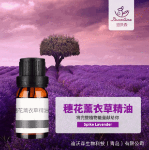 �뻨޹�²ݾ���Spike Lavender�η�����ԭ�����l�����{���ջ�ԭ��