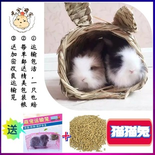 �Ȍ��wĘ؈؈�û��w���ӌ������Lë�ð�������С�����������Lë