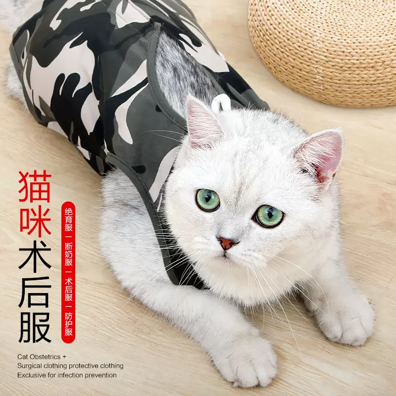 亚马逊宠物用品猫咪绝育服猫咪术后服排扣款断奶服防舔迷彩家居服