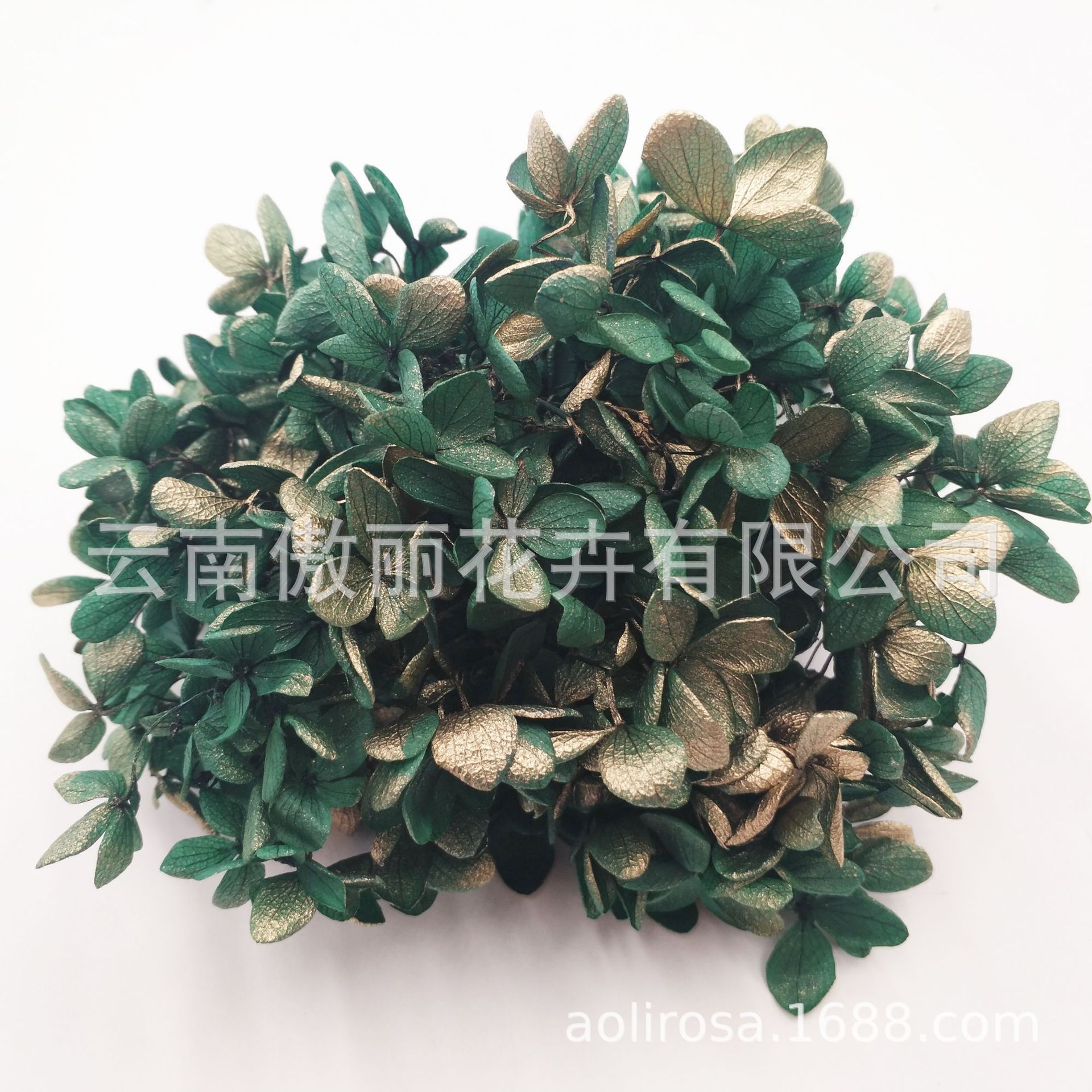 Grado A gradiente de madera Hortensia gradiente Hortensia flor eterna unicornio flor seca Hortensia flor eterna al por mayor